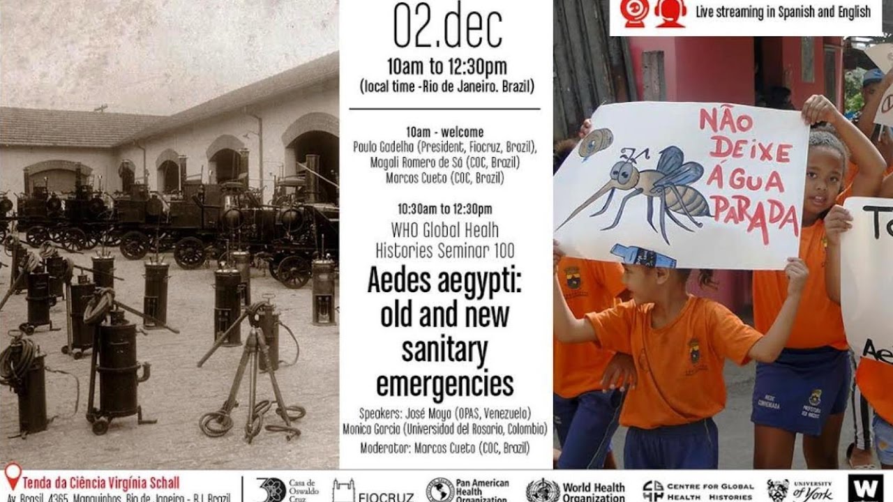 'Aedes aegypti': Old and New Sanitary Emergencies