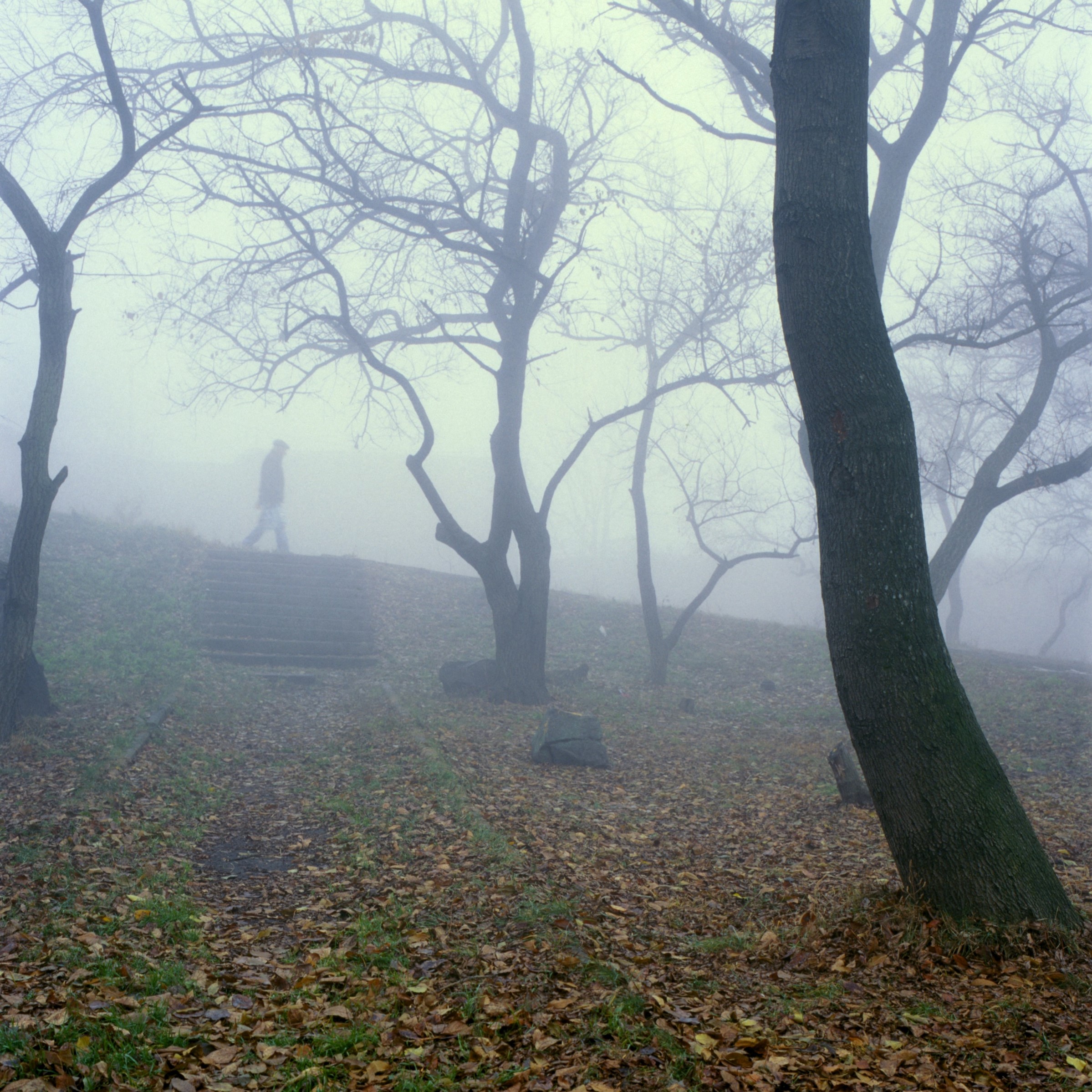 Man walking through foggy forest in Russia