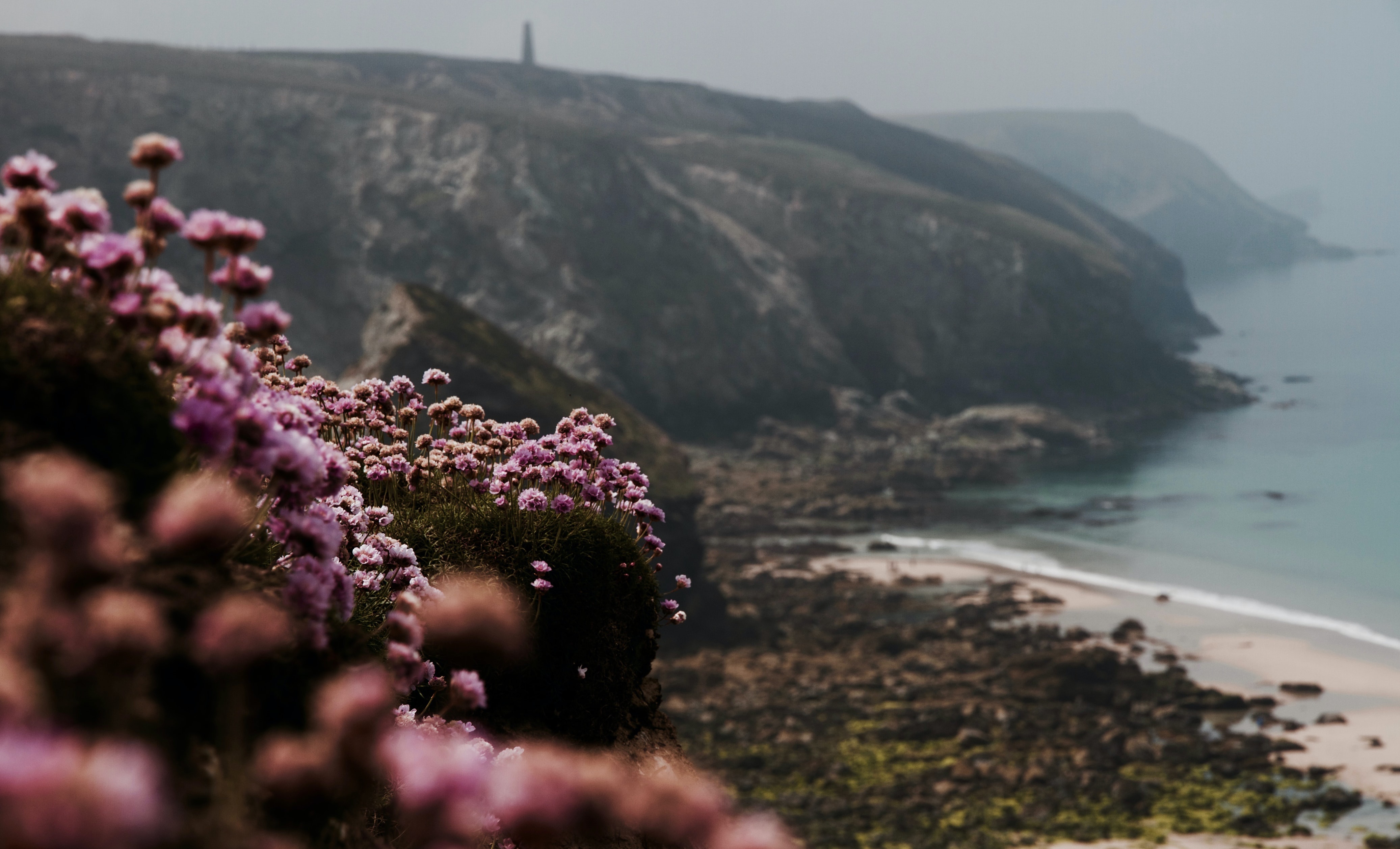 Coastline in fog