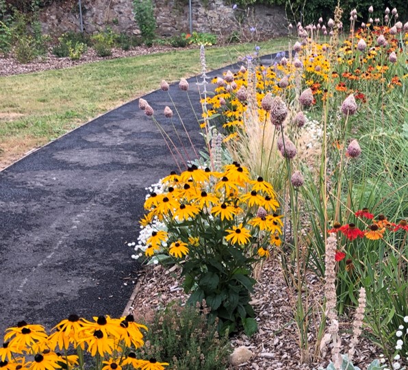 Image showing a path with yellow flowers growing on the right side