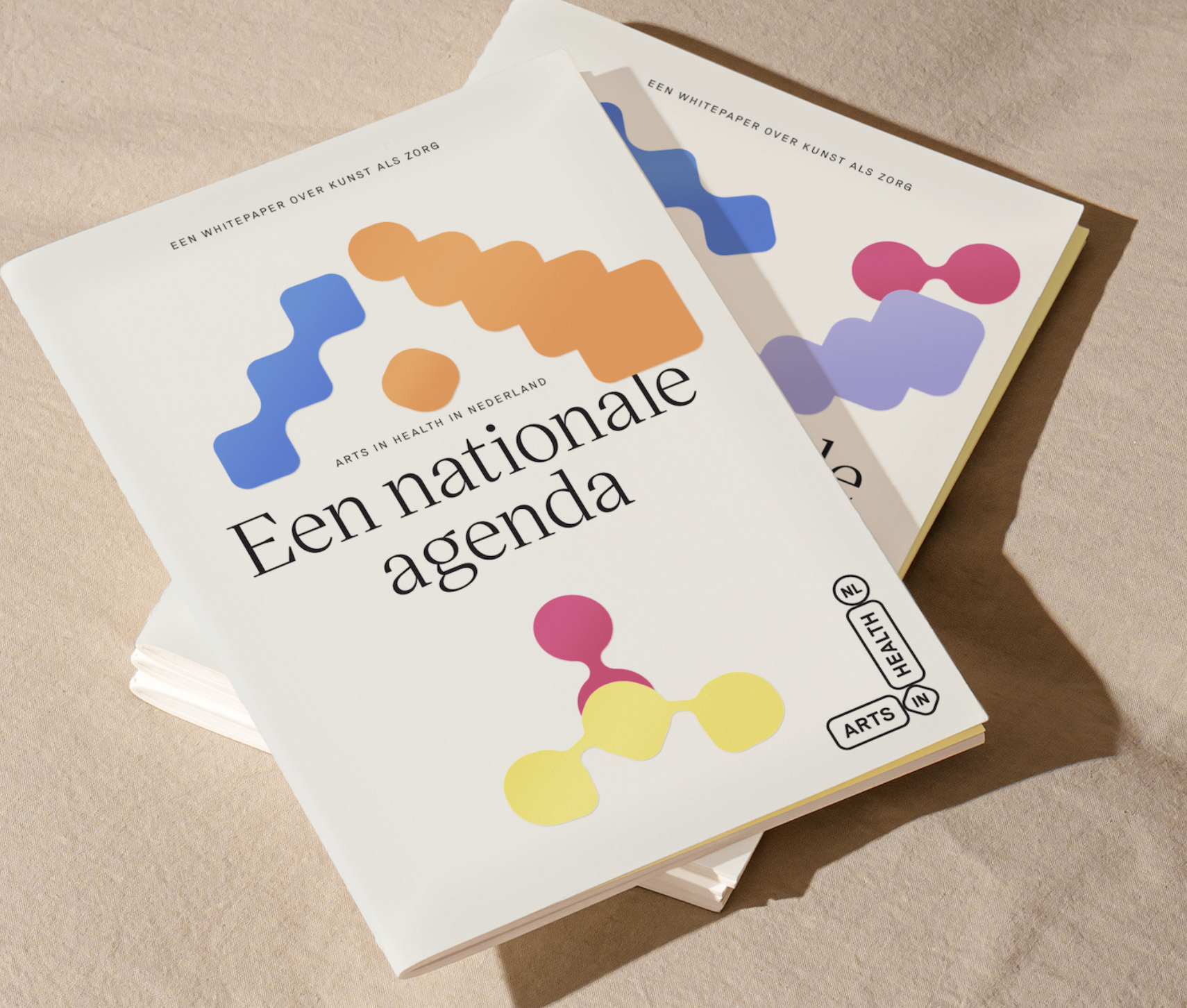 White Paper | A national agenda
