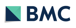 BMC logo